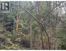Lot 6 Mcbride Road, Blind Bay, BC V0E1H1 Photo 14