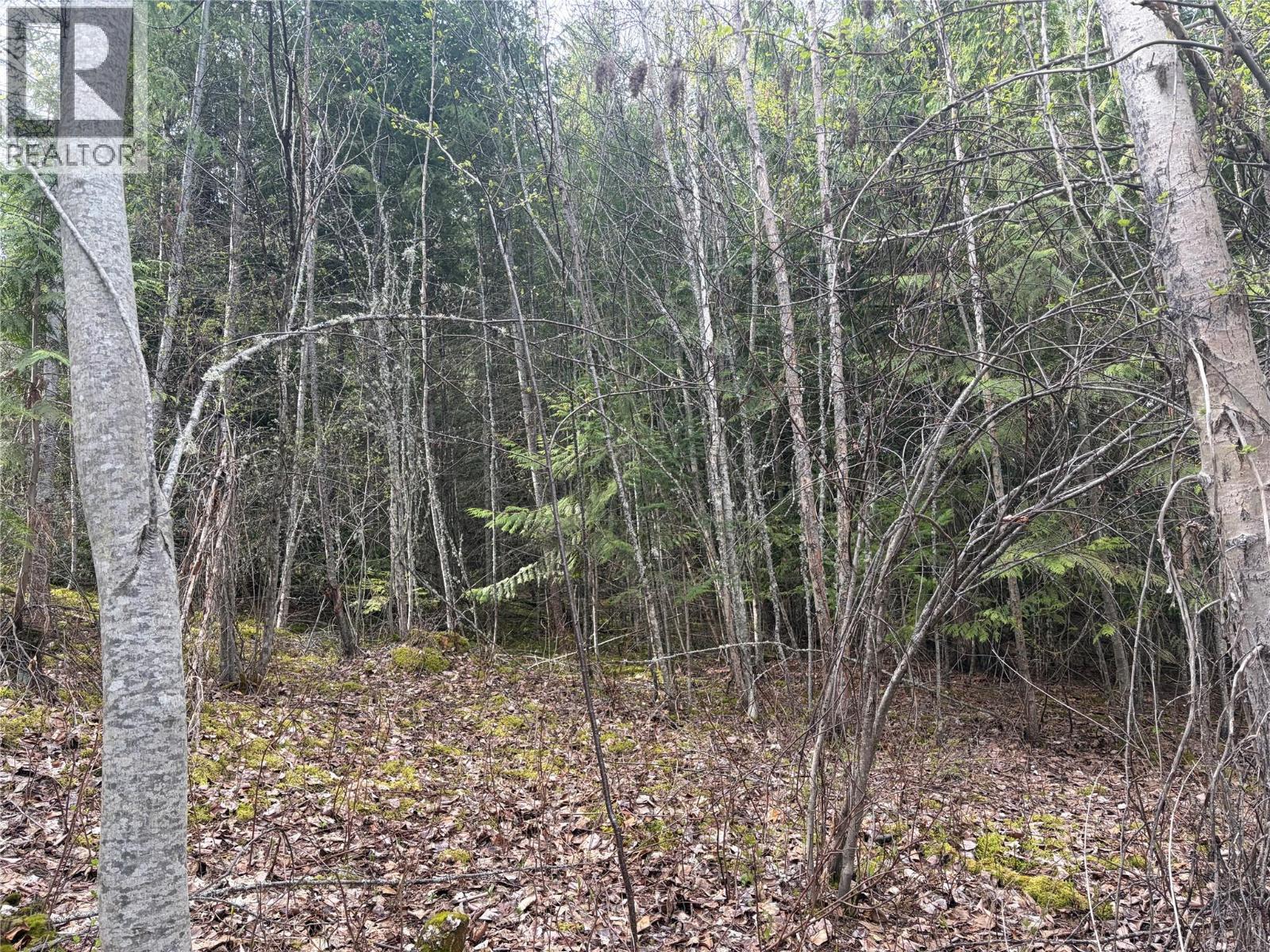  Lot 6 McBride Road, Blind Bay