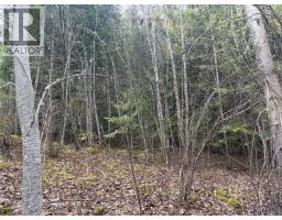 Lot 6 Mcbride Road, Blind Bay, BC V0E1H1 Photo 9