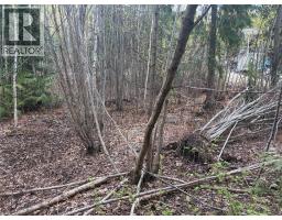 Lot 6 Mcbride Road, Blind Bay, BC V0E1H1 Photo 11