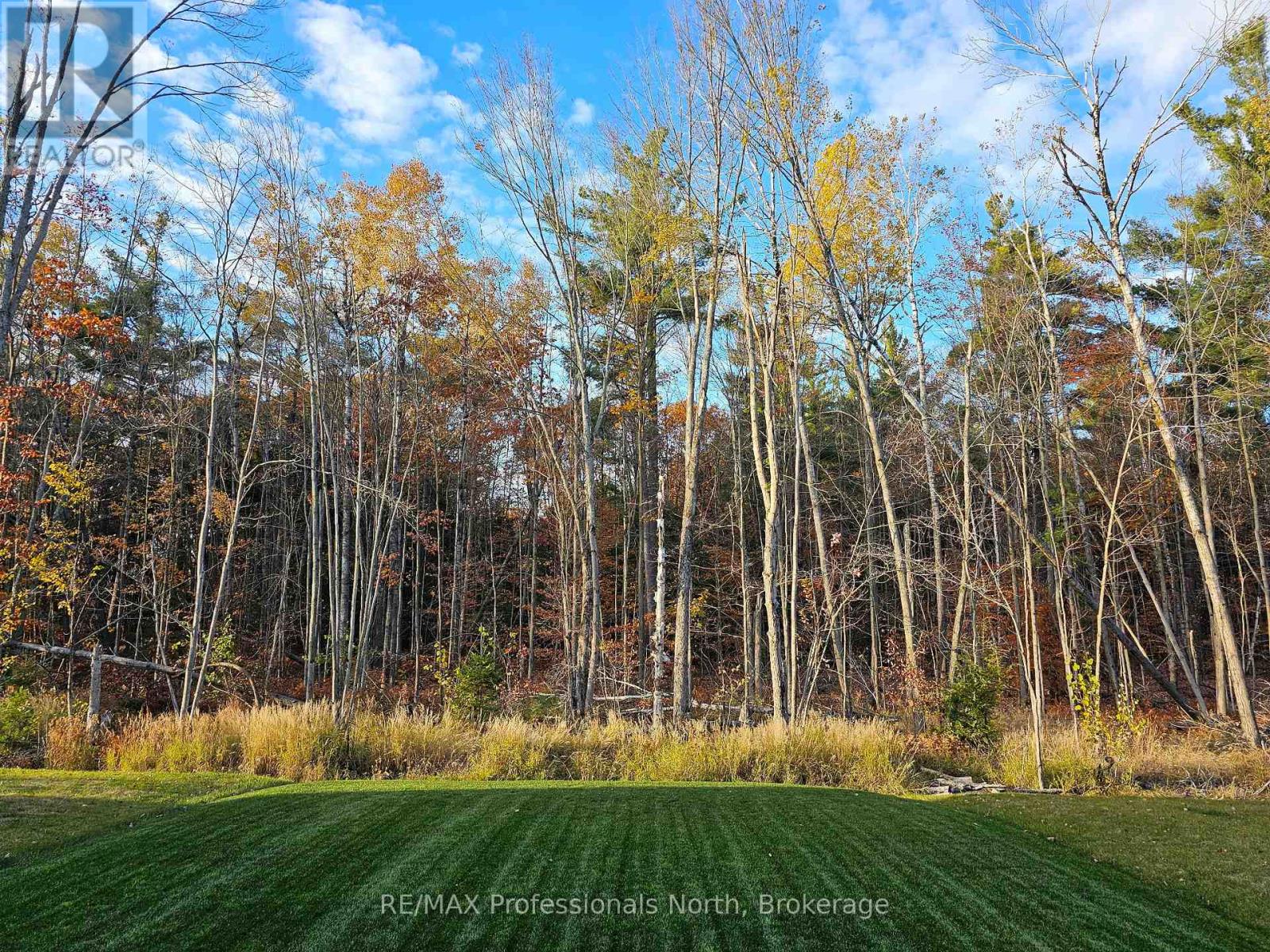 385 BEECHWOOD FOREST LANE - 38
