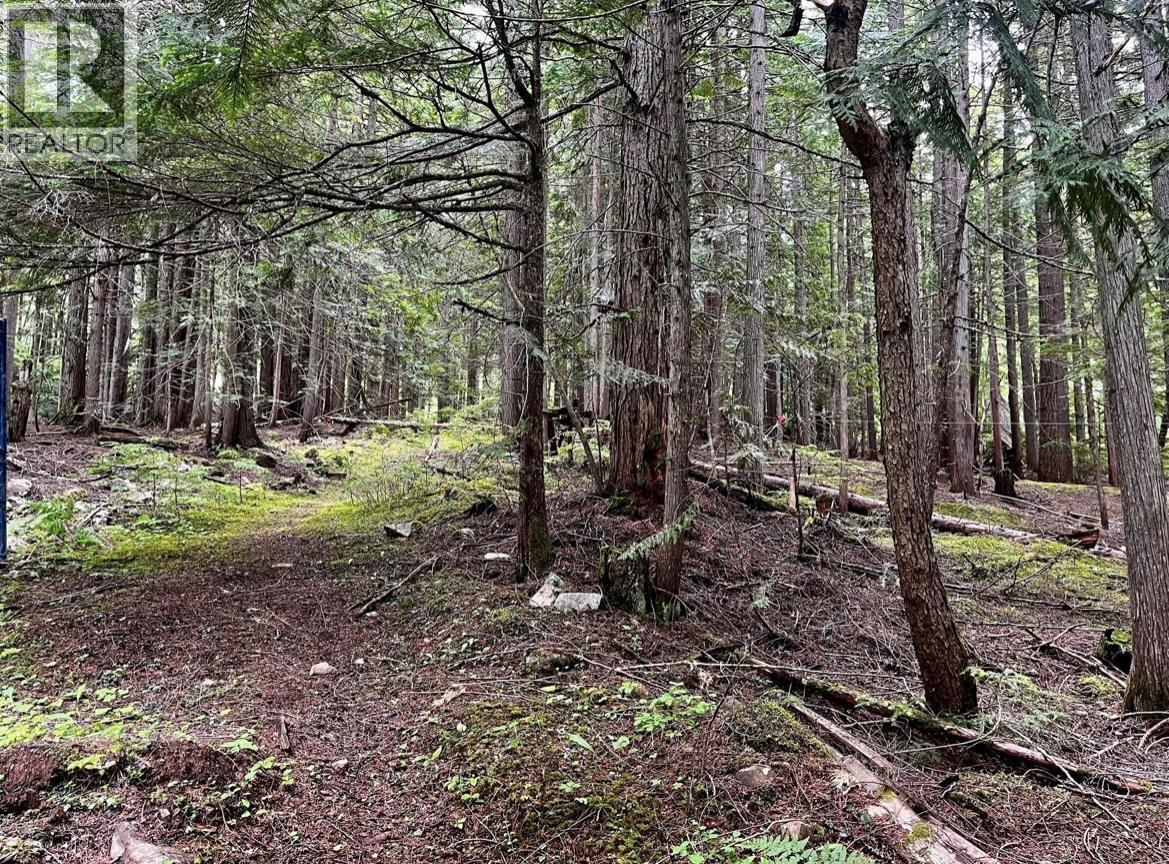Lot 2 Red Mountain Road — photo 11