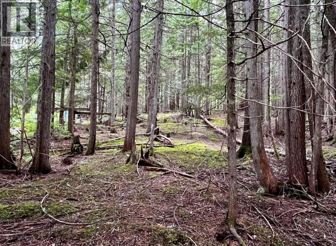 Lot 2 Red Mountain Road — photo 12