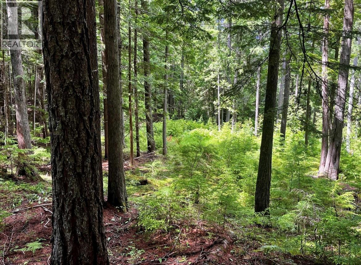 Lot 2 Red Mountain Road — photo 13
