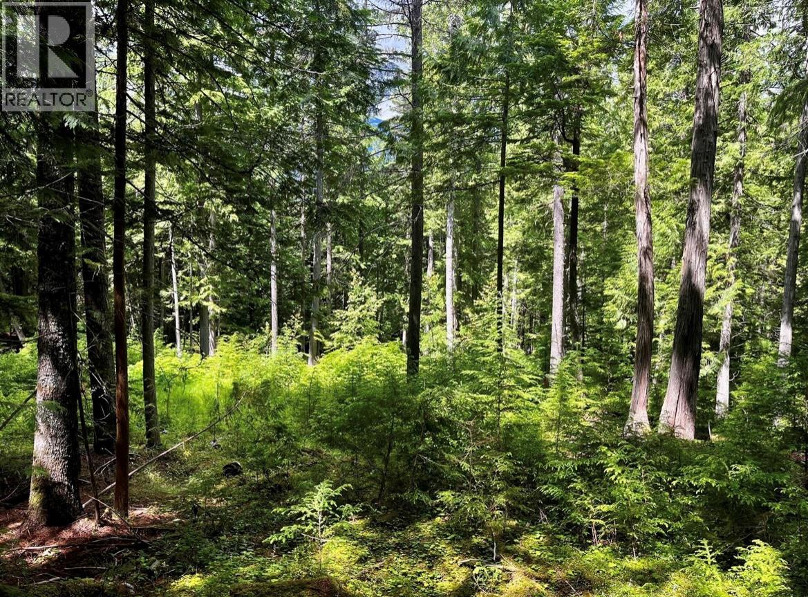 Lot 2 Red Mountain Road — photo 14