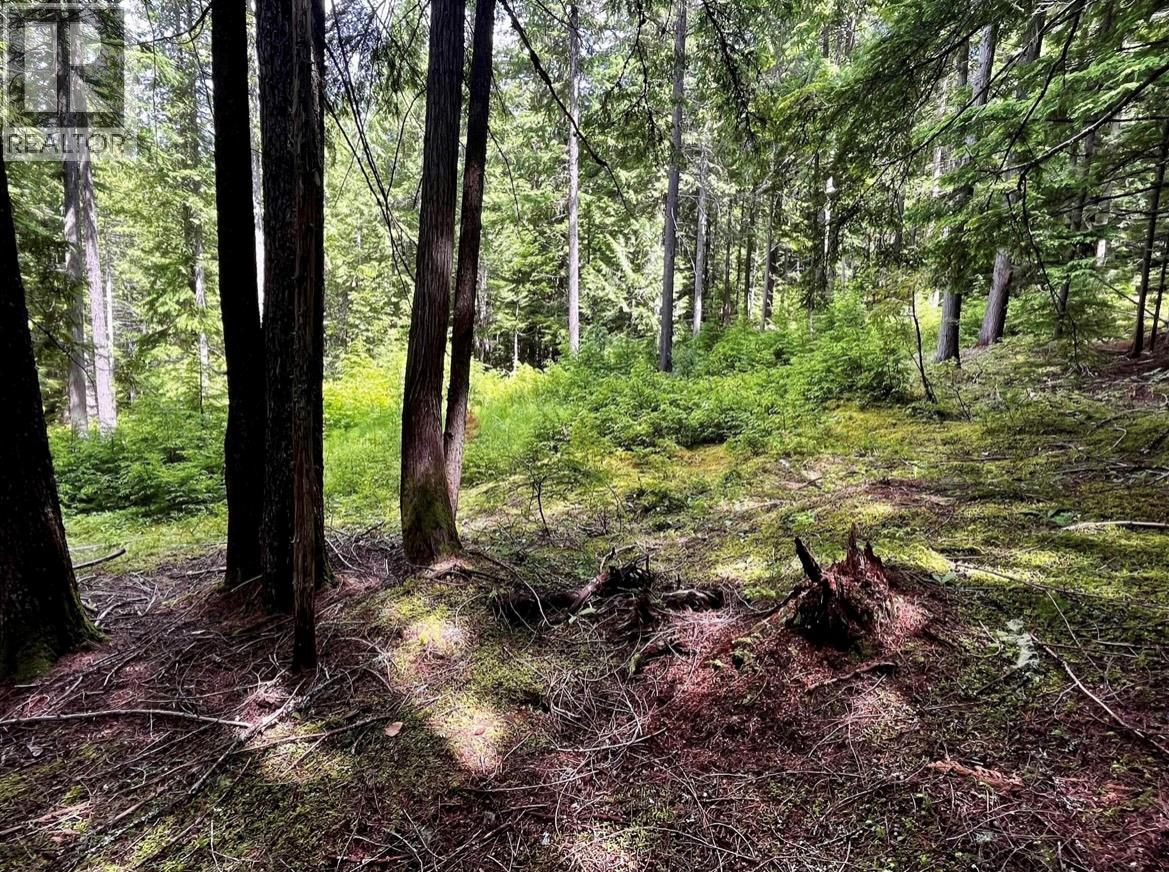 Lot 2 Red Mountain Road — photo 15