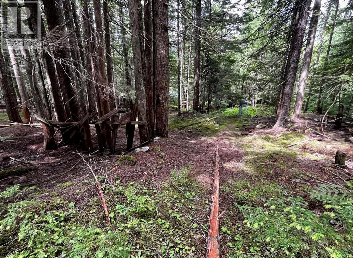 Lot 2 Red Mountain Road — photo 16