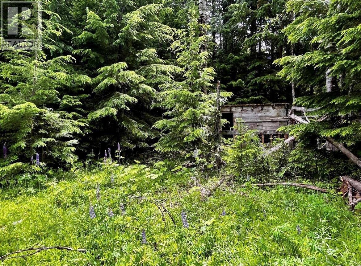 Lot 2 Red Mountain Road — photo 17