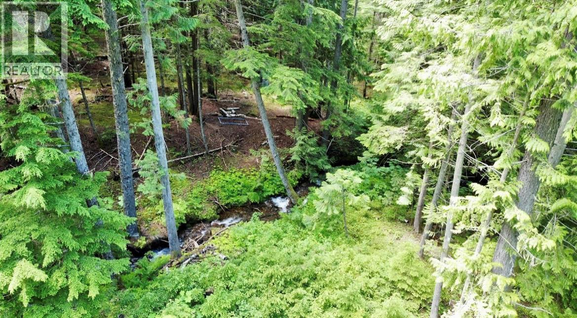 Lot 2 Red Mountain Road — photo 19