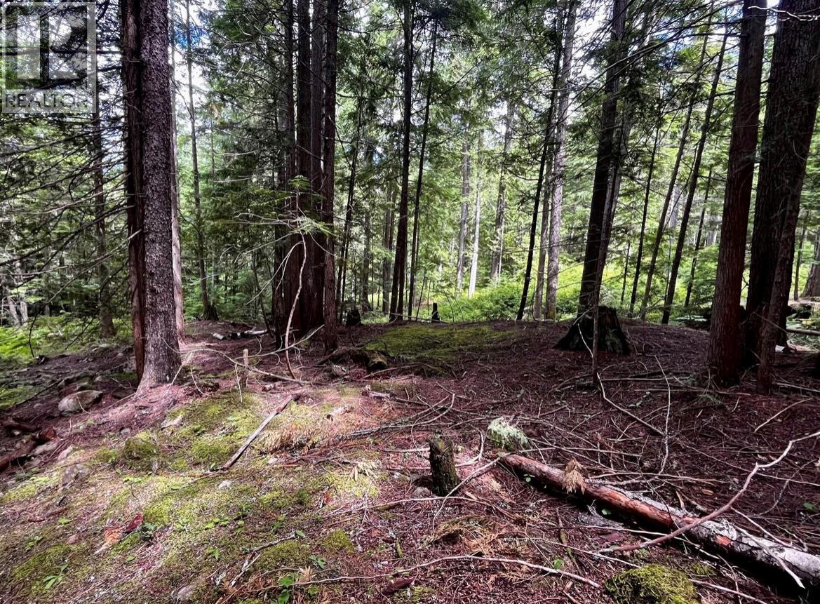 Lot 2 Red Mountain Road — photo 20