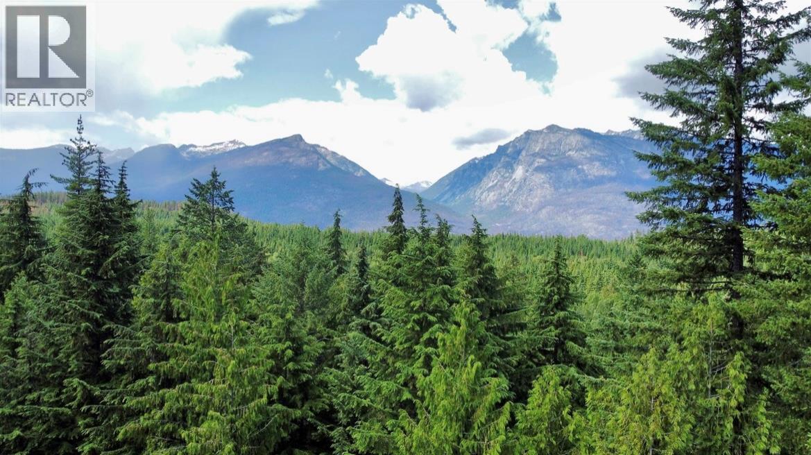 Lot 2 Red Mountain Road — photo 25