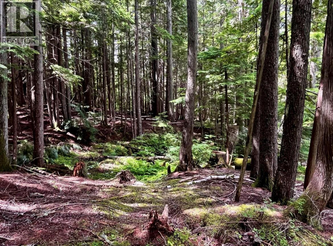 Lot 2 Red Mountain Road — photo 6
