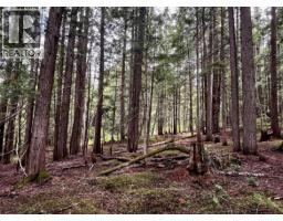 Lot 2 Red Mountain Road, Silverton, BC V0G1S0 Photo 10