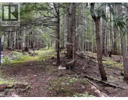 Lot 2 Red Mountain Road, Silverton, BC V0G1S0 Photo 11