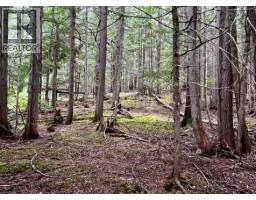 Lot 2 Red Mountain Road, Silverton, BC V0G1S0 Photo 12