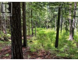 Lot 2 Red Mountain Road, Silverton, BC V0G1S0 Photo 13