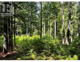Lot 2 Red Mountain Road, Silverton, BC V0G1S0 Photo 14
