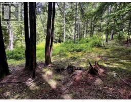 Lot 2 Red Mountain Road, Silverton, BC V0G1S0 Photo 15