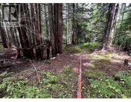 Lot 2 Red Mountain Road, Silverton, BC V0G1S0 Photo 16