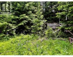 Lot 2 Red Mountain Road, Silverton, BC V0G1S0 Photo 17