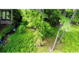 Lot 2 Red Mountain Road, Silverton, BC V0G1S0 Photo 18