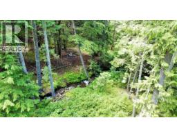 Lot 2 Red Mountain Road, Silverton, BC V0G1S0 Photo 19