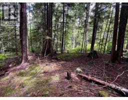 Lot 2 Red Mountain Road, Silverton, BC V0G1S0 Photo 20