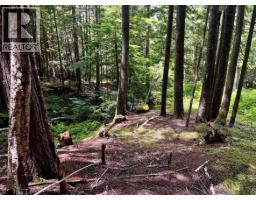 Lot 2 Red Mountain Road, Silverton, BC V0G1S0 Photo 21