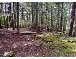 Lot 2 Red Mountain Road, Silverton, BC V0G1S0 Photo 22