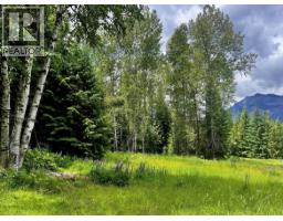 Lot 2 Red Mountain Road, Silverton, BC V0G1S0 Photo 23