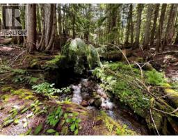 Lot 2 Red Mountain Road, Silverton, BC V0G1S0 Photo 24