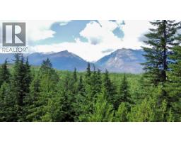 Lot 2 Red Mountain Road, Silverton, BC V0G1S0 Photo 25