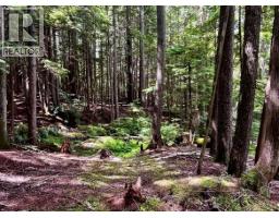 Lot 2 Red Mountain Road, Silverton, BC V0G1S0 Photo 6