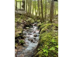 Lot 2 Red Mountain Road, Silverton, BC V0G1S0 Photo 7