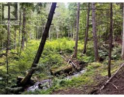 Lot 2 Red Mountain Road, Silverton, BC V0G1S0 Photo 8