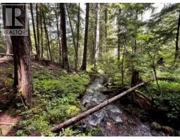 Lot 2 Red Mountain Road, Silverton, BC V0G1S0 Photo 9