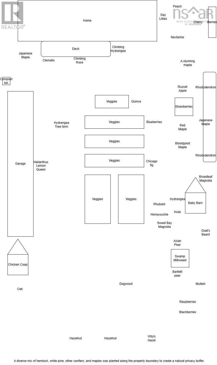 Property 46 of 48 of 42 David Allen Drive