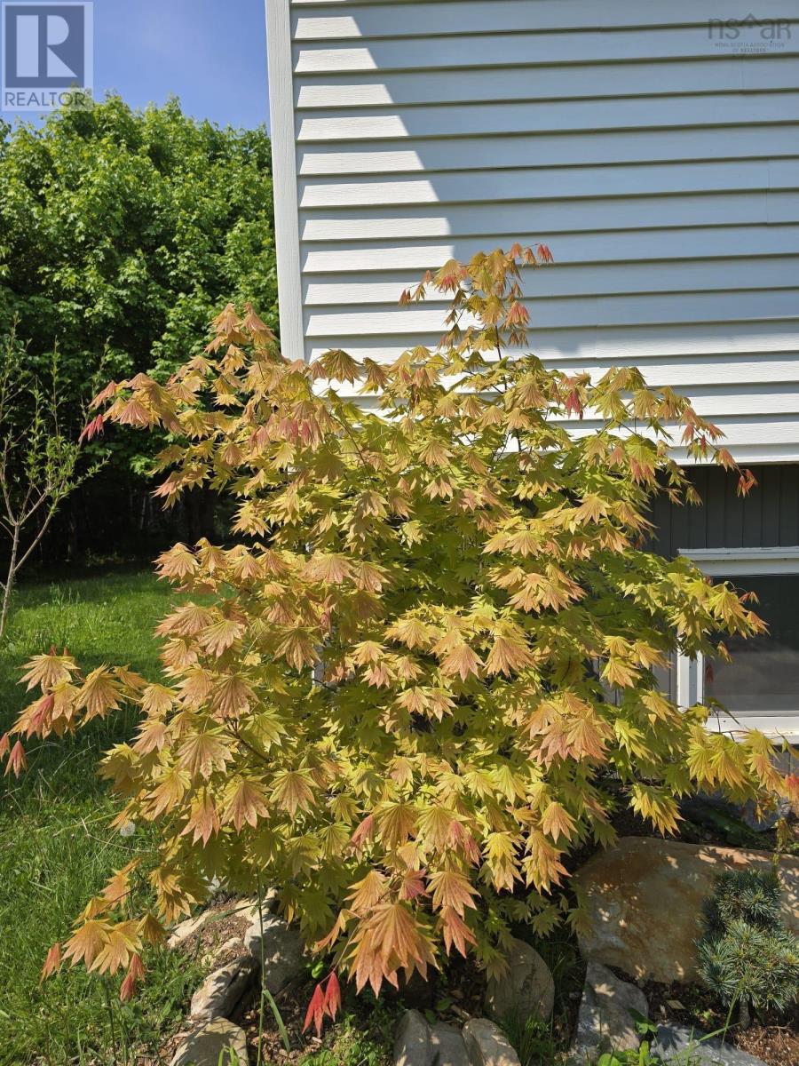 Property 42 of 48 of 42 David Allen Drive