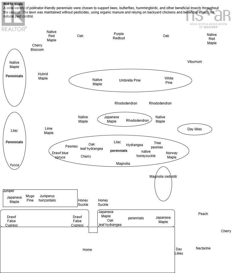 Property 45 of 48 of 42 David Allen Drive