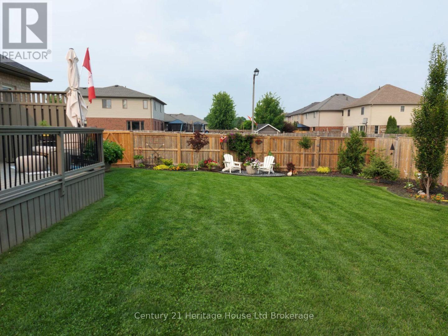 SUMMER IN BACKYARD