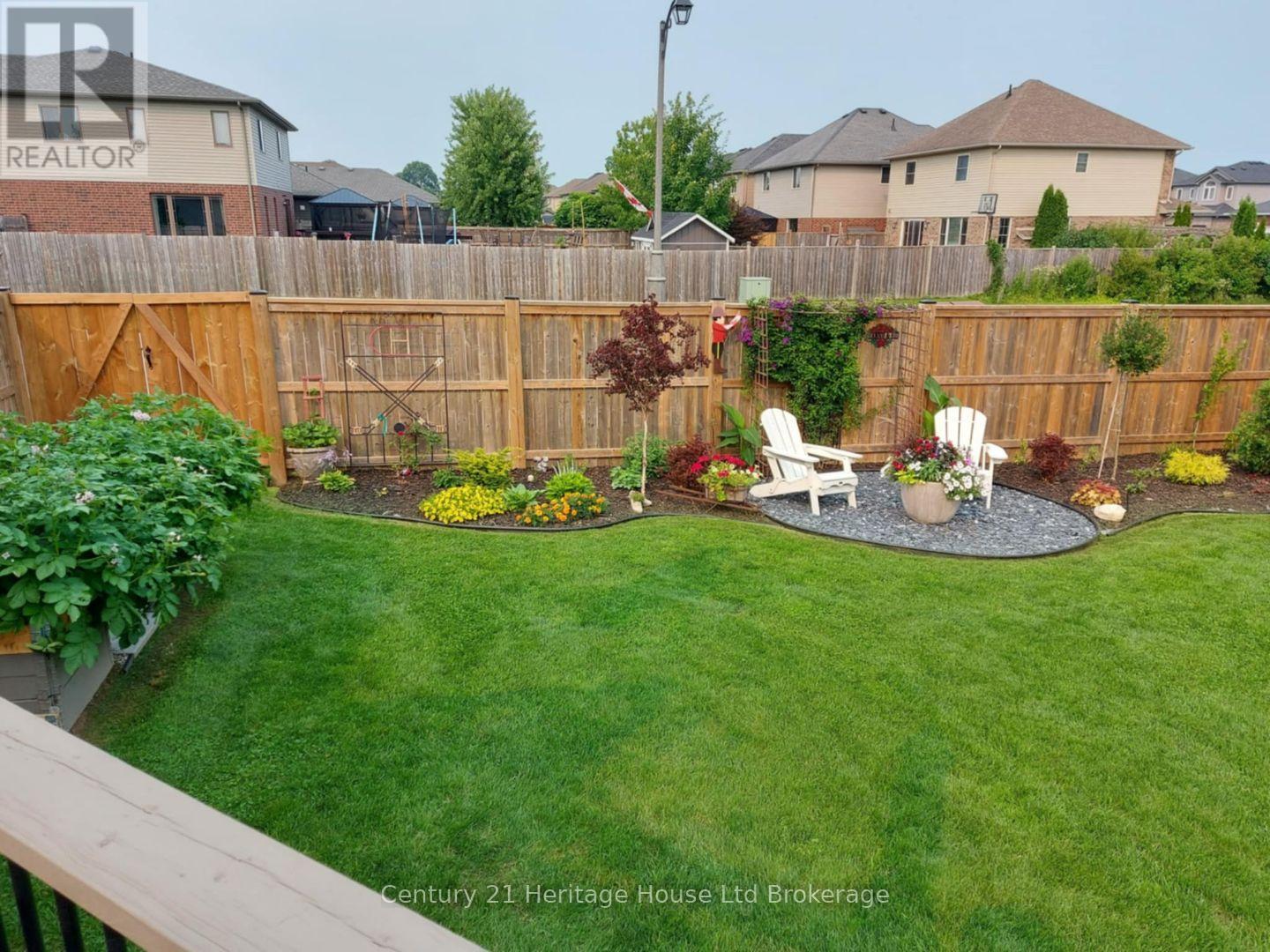 SUMMER IN BACKYARD