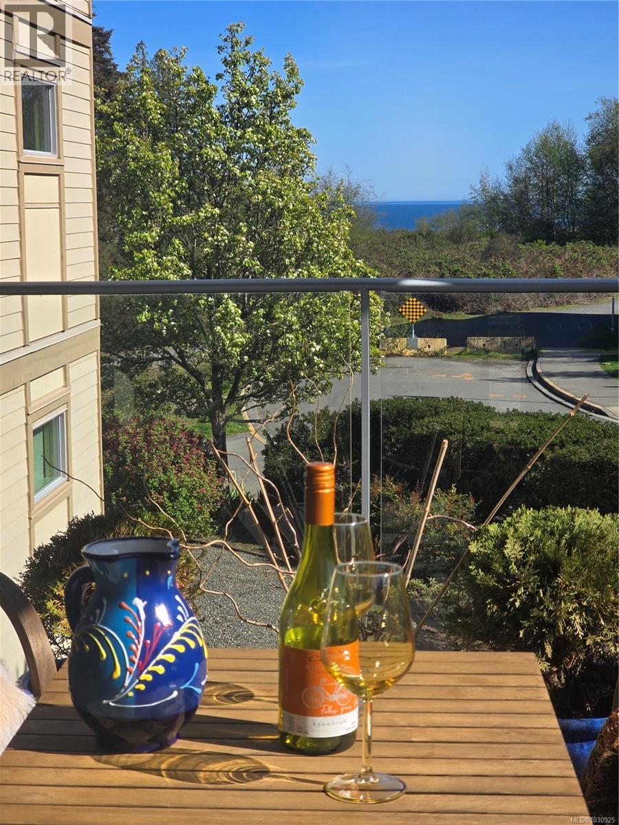 #204 3223 SELLECK WAY - 13