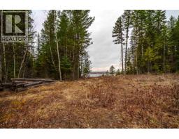 Lot 2 Parkview Road, Quesnel, BC V2J6X7 Photo 24