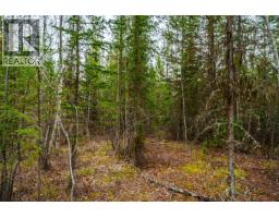 Lot 2 Parkview Road, Quesnel, BC V2J6X7 Photo 31