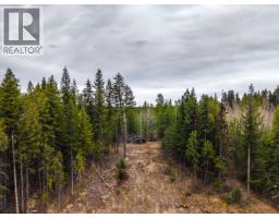 Lot 2 Parkview Road, Quesnel, BC V2J6X7 Photo 15