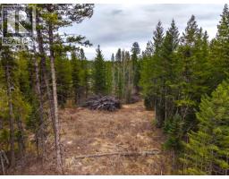 Lot 2 Parkview Road, Quesnel, BC V2J6X7 Photo 17