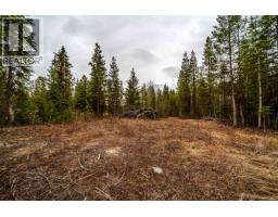 Lot 2 Parkview Road, Quesnel, BC V2J6X7 Photo 29