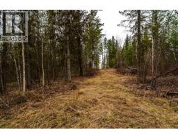 Lot 2 Parkview Road, Quesnel, BC V2J6X7 Photo 23