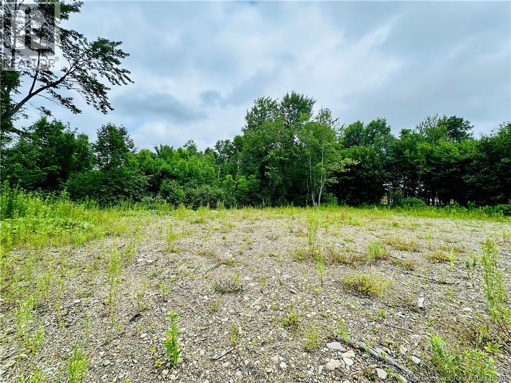 Lot 02-1 Slater Road — photo 31