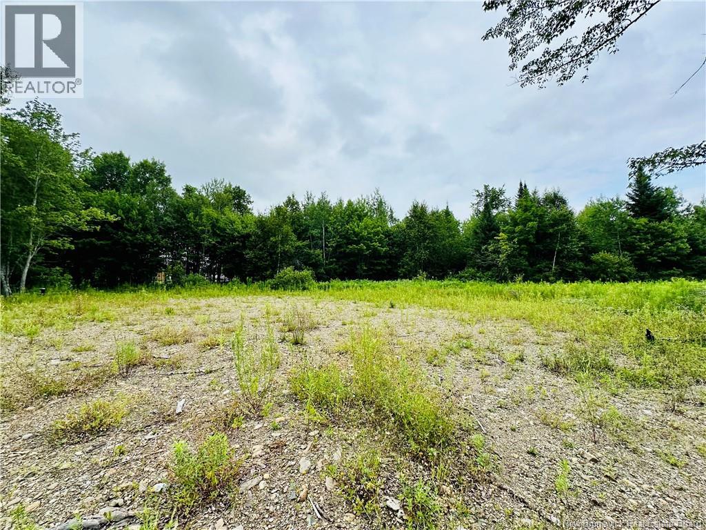 Lot 02-1 Slater Road — photo 33